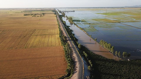 san xuat lua san xuat lua