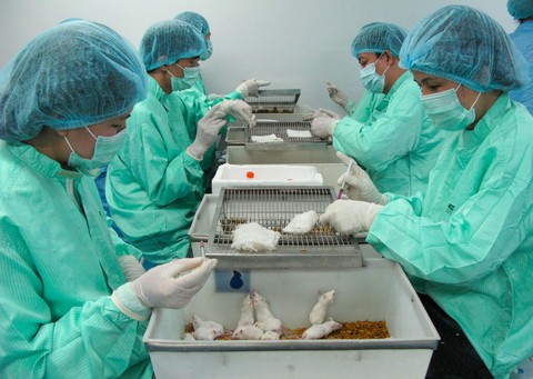 Thành tựu văcxin made in Việt Nam - Ảnh 2. Thành tựu văcxin made in Việt Nam - Ảnh 2.