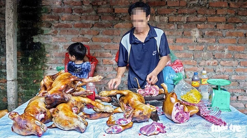 Tranh luận về ăn thịt chó: Nên hay không nên ăn? Ăn thì có sao? - Ảnh 1. Tranh luận về ăn thịt chó: Nên hay không nên ăn? Ăn thì có sao? - Ảnh 1.