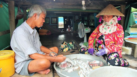 Chợ độc miền Tây - kỳ 2: Chợ cá đồng giữa... rốn lũ - Ảnh 3. Chợ độc miền Tây - kỳ 2: Chợ cá đồng giữa... rốn lũ - Ảnh 3.