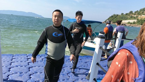 Ngắm cá và san hô... “chui” ở Tiên Sa - Ảnh 2. Ngắm cá và san hô... “chui” ở Tiên Sa - Ảnh 2.