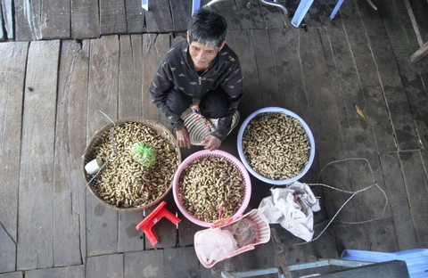 Chợ độc miền Tây - kỳ 5: Chợ Mây núi Cấm - Ảnh 4. Chợ độc miền Tây - kỳ 5: Chợ Mây núi Cấm - Ảnh 4.
