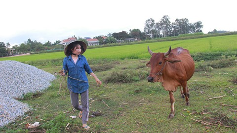 Ba đốm sáng giữa cuộc đời - Ảnh 1. Ba đốm sáng giữa cuộc đời - Ảnh 1.