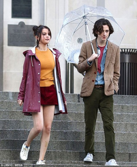 Phim mới của Woody Allen có thể xếp kho mãi mãi - Ảnh 5. Phim mới của Woody Allen có thể xếp kho mãi mãi - Ảnh 5.