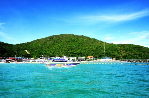 Đến đảo Koh Coral tắm biển và ăn hải sản - Ảnh 1. Đến đảo Koh Coral tắm biển và ăn hải sản - Ảnh 1.