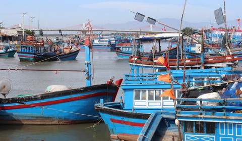 Bão gây gió giật cấp 10, cấm tàu thuyền ra khơi - Ảnh 3. Bão gây gió giật cấp 10, cấm tàu thuyền ra khơi - Ảnh 3.