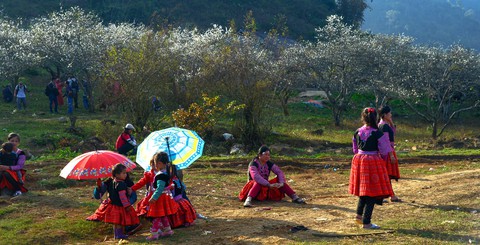 Tết Mông giữa mùa hoa mận - Ảnh 6. Tết Mông giữa mùa hoa mận - Ảnh 6.