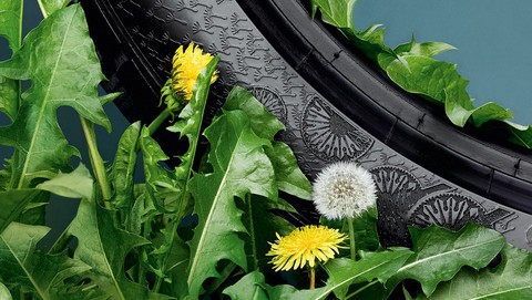 Ra mắt Trung tâm thực nghiệm và chuyển giao kỹ thuật nông nghiệp BASF - Ảnh 1. Ra mắt Trung tâm thực nghiệm và chuyển giao kỹ thuật nông nghiệp BASF - Ảnh 1.