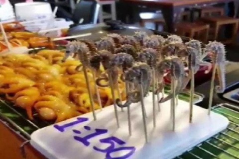 Món cá ngựa xiên que gây bão dư luận ở Thái Lan - Ảnh 1. Món cá ngựa xiên que gây bão dư luận ở Thái Lan - Ảnh 1.