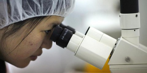 Bản quyền Trung Quốc đăng ký ra thế giới sẽ bóp nghẹt các nước nhỏ - Ảnh 2. Bản quyền Trung Quốc đăng ký ra thế giới sẽ bóp nghẹt các nước nhỏ - Ảnh 2.