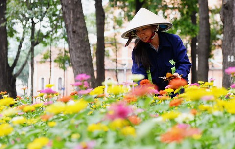 Công nhân vệ sinh ngày càng khốn khó - Ảnh 5. Công nhân vệ sinh ngày càng khốn khó - Ảnh 5.