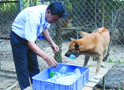 Tuấn Chó và hành trình gian nan bảo tồn chó xoáy Phú Quốc - Ảnh 4. Tuấn Chó và hành trình gian nan bảo tồn chó xoáy Phú Quốc - Ảnh 4.