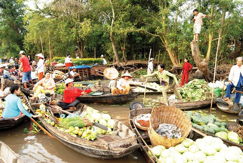 Đi về kho báu chín rồng - Ảnh 1. Đi về kho báu chín rồng - Ảnh 1.
