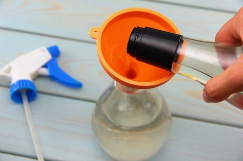 Diệt kiến đâu cần xài thuốc! - Ảnh 1. Diệt kiến đâu cần xài thuốc! - Ảnh 1.