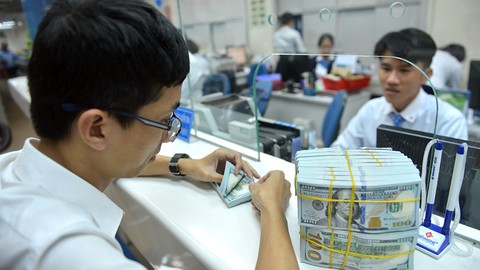 Dự trữ ngoại hối 52 tỉ USD: Cơ hội đầu tư nhiều hơn - Ảnh 2. Dự trữ ngoại hối 52 tỉ USD: Cơ hội đầu tư nhiều hơn - Ảnh 2.