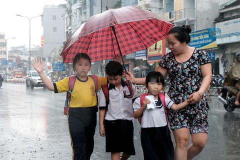 Mưa trái mùa nhiều nơi ở Sài Gòn và Nam bộ - Ảnh 3. Mưa trái mùa nhiều nơi ở Sài Gòn và Nam bộ - Ảnh 3.