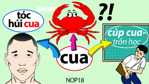 Gò, o, cua, cái ve ve - Ảnh 1. Gò, o, cua, cái ve ve - Ảnh 1.