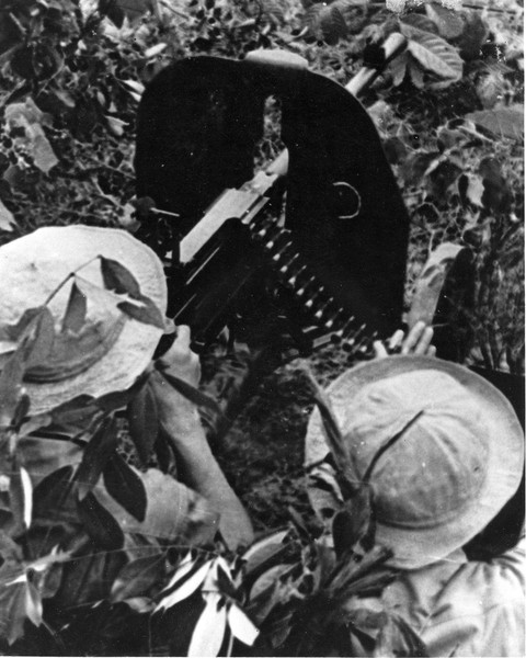 Bộ ảnh đặc biệt năm Mậu Thân 1968 của quân đội Mỹ - Ảnh 22. Bộ ảnh đặc biệt năm Mậu Thân 1968 của quân đội Mỹ - Ảnh 22.