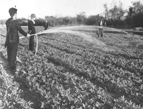 Bộ ảnh đặc biệt năm Mậu Thân 1968 của quân đội Mỹ - Ảnh 48. Bộ ảnh đặc biệt năm Mậu Thân 1968 của quân đội Mỹ - Ảnh 48.