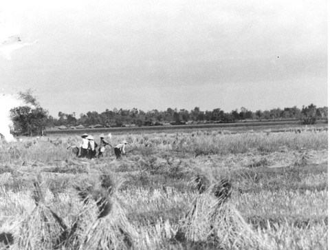 Bộ ảnh đặc biệt năm Mậu Thân 1968 của quân đội Mỹ - Ảnh 47. Bộ ảnh đặc biệt năm Mậu Thân 1968 của quân đội Mỹ - Ảnh 47.