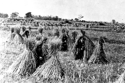 Bộ ảnh đặc biệt năm Mậu Thân 1968 của quân đội Mỹ - Ảnh 9. Bộ ảnh đặc biệt năm Mậu Thân 1968 của quân đội Mỹ - Ảnh 9.