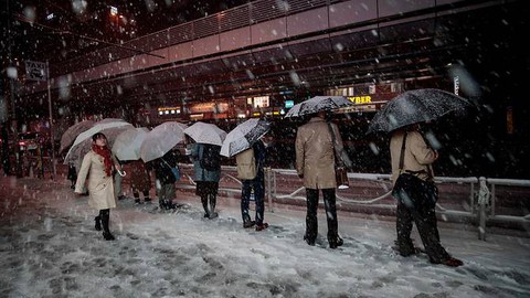 Bão tuyết làm đình trệ giao thông Tokyo - Ảnh 1. Bão tuyết làm đình trệ giao thông Tokyo - Ảnh 1.