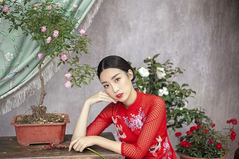 Hoa hậu Đỗ Mỹ Linh hoá nàng tiên hoa ngày Tết - Ảnh 1. Hoa hậu Đỗ Mỹ Linh hoá nàng tiên hoa ngày Tết - Ảnh 1.