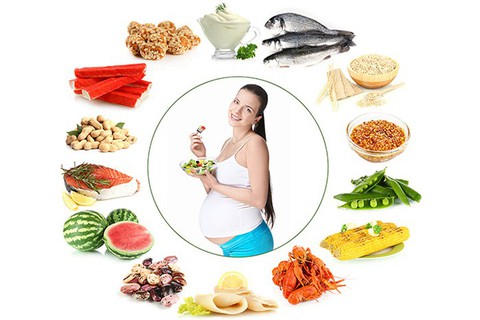 Chăm sóc dinh dưỡng cho phụ nữ thời kỳ có thai - Ảnh 1. Chăm sóc dinh dưỡng cho phụ nữ thời kỳ có thai - Ảnh 1.