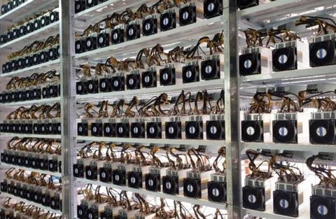 Người Việt mua gần 8.000 “trâu cày” Bitcoin chỉ trong 3 tuần - Ảnh 1. Người Việt mua gần 8.000 “trâu cày” Bitcoin chỉ trong 3 tuần - Ảnh 1.