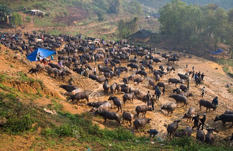 Hành trình di sản không chấp nhận ảnh dự thi chỉnh sửa - Ảnh 2. Hành trình di sản không chấp nhận ảnh dự thi chỉnh sửa - Ảnh 2.