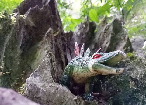 Một cách đến với Sơn Đoòng thú vị - Ảnh 1. Một cách đến với Sơn Đoòng thú vị - Ảnh 1.