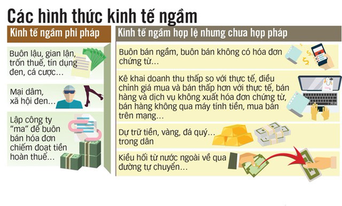 Làm gì để lôi được kinh tế ngầm ra khỏi bóng tối? - Ảnh 1. Làm gì để lôi được kinh tế ngầm ra khỏi bóng tối? - Ảnh 1.