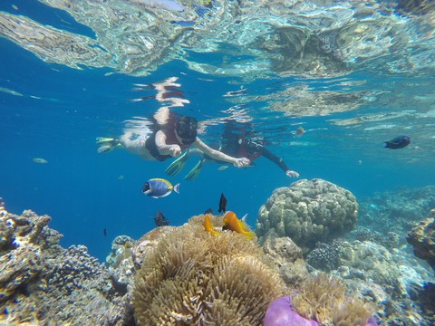 9 điều cần biết trước khi bay đến thiên đường Maldives - Ảnh 3. 9 điều cần biết trước khi bay đến thiên đường Maldives - Ảnh 3.