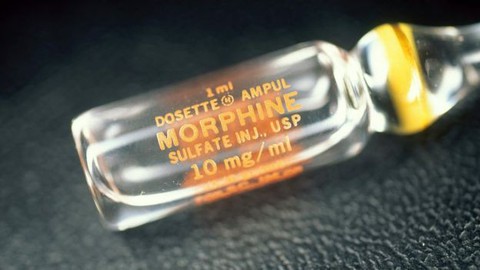 Cần cái nhìn khác về thuốc giảm đau gốc Opioid - Ảnh 1. Cần cái nhìn khác về thuốc giảm đau gốc Opioid - Ảnh 1.