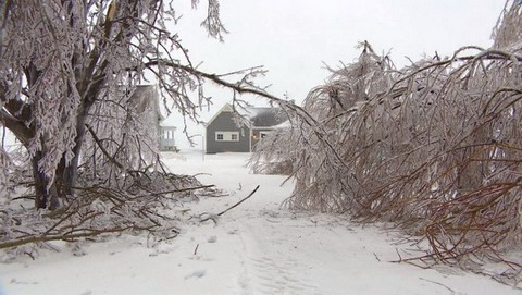 Mưa băng đông cứng một bang Canada - Ảnh 2. Mưa băng đông cứng một bang Canada - Ảnh 2.