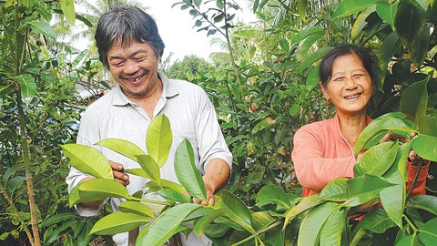 Tình trong gian khó - Ảnh 1. Tình trong gian khó - Ảnh 1.