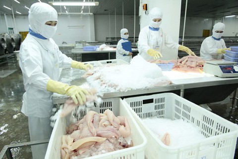 Việt Nam khiếu nại WTO về việc Mỹ áp thuế cá phi lê - Ảnh 1. Việt Nam khiếu nại WTO về việc Mỹ áp thuế cá phi lê - Ảnh 1.
