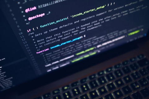 Hacker tấn công Google và Skype đã bị kết án 2 năm tù - Ảnh 1. Hacker tấn công Google và Skype đã bị kết án 2 năm tù - Ảnh 1.