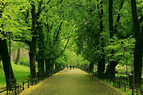 Đến Krakow ở Ba Lan đi đâu, làm gì? - Ảnh 4. Đến Krakow ở Ba Lan đi đâu, làm gì? - Ảnh 4.