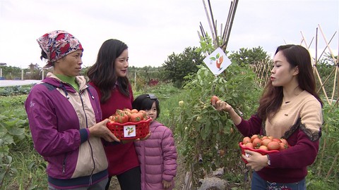 Đại chuyển dịch của VTV6: Thế hệ trẻ mới sẽ là thế hệ số - Ảnh 11. Đại chuyển dịch của VTV6: Thế hệ trẻ mới sẽ là thế hệ số - Ảnh 11.