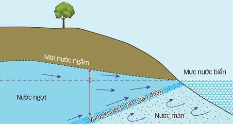 Chuyện gì đang xảy ra ở bãi biển Đà Nẵng? - Ảnh 4. Chuyện gì đang xảy ra ở bãi biển Đà Nẵng? - Ảnh 4.