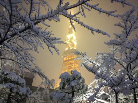 Bão tuyết làm đình trệ giao thông Tokyo - Ảnh 2. Bão tuyết làm đình trệ giao thông Tokyo - Ảnh 2.
