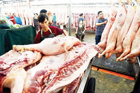 Tết này chỉ mong heo... tăng giá - Ảnh 1. Tết này chỉ mong heo... tăng giá - Ảnh 1.