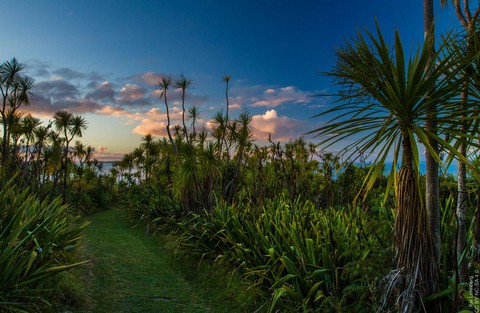 10 trải nghiệm miễn phí ở Auckland (phần 2) - Ảnh 3.