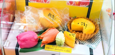 Cung điện hoa tulip rực rỡ ở Nhật Bản - Ảnh 5. Cung điện hoa tulip rực rỡ ở Nhật Bản - Ảnh 5.