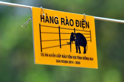 Voi rừng lại ra phá hoại hoa màu ở Đồng Nai - Ảnh 9. Voi rừng lại ra phá hoại hoa màu ở Đồng Nai - Ảnh 9.