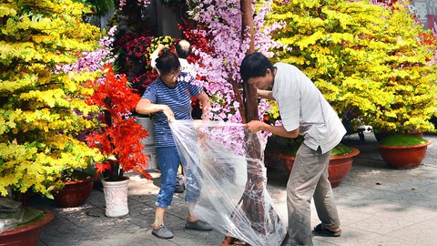 Khó như đi tìm... mặt bằng bán hàng Tết - Ảnh 1. Khó như đi tìm... mặt bằng bán hàng Tết - Ảnh 1.