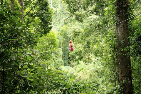 Tết đi chơi nước nào cho nhanh, gọn, tiện? - Ảnh 4. Tết đi chơi nước nào cho nhanh, gọn, tiện? - Ảnh 4.