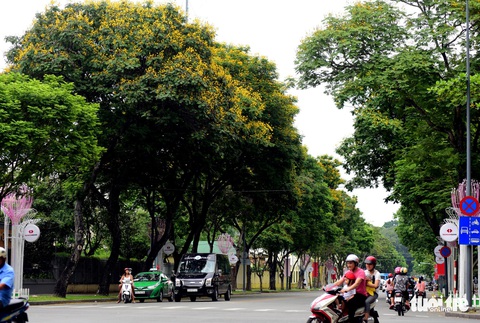 Phố xá Sài Gòn vắng vẻ, se lạnh ngày đầu năm - Ảnh 6. Phố xá Sài Gòn vắng vẻ, se lạnh ngày đầu năm - Ảnh 6.