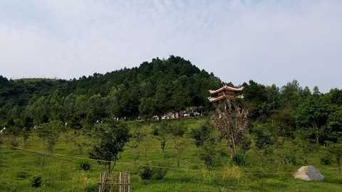 Giao khu mộ Đại tướng Võ Nguyên Giáp cho gia đình và địa phương quản lý - Ảnh 1. Giao khu mộ Đại tướng Võ Nguyên Giáp cho gia đình và địa phương quản lý - Ảnh 1.